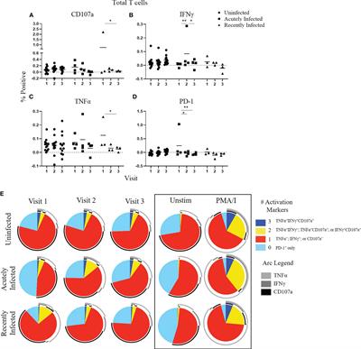 Adult Memory T Cell Responses to the Respiratory Syncytial Virus Fusion Protein During a Single RSV Season (2018–2019)